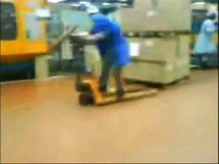 Funny Videos - funny cats - Funny Pranks - Funny Cats Videos - funny