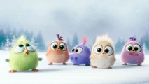 THE ANGRY BIRDS MOVIE Promo Clip - Happy Holidays (2016) Animated Comedy Movie HD