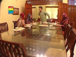 Tum Jo Milay HUM TV Disc 1 Part 7