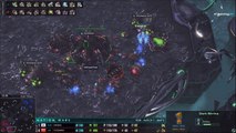 TooDming fait une MMA - StarCraft II