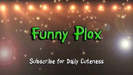 Cute Puppies React to Mountain Dew