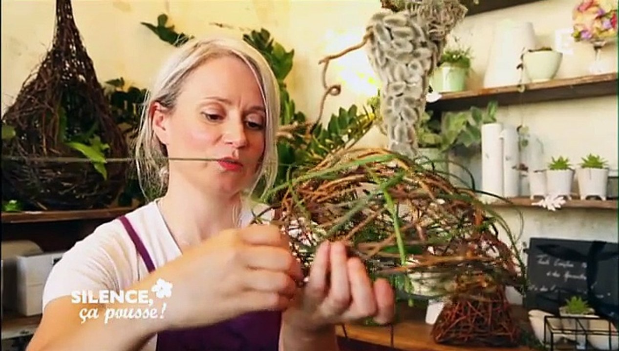 Silence, ça pousse ! 2.01.2016 VOSTF France 5