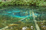 Japanese Superb View,Hokkaido Blue Pond,with healing music VOL2【能放松的古典音乐收集】