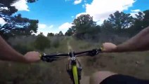 POV My Biking Trip - Between Trees