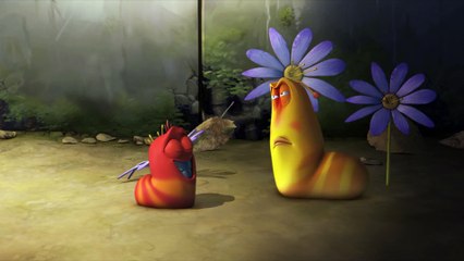 Larva hay - Ấu trùng chơi trốn tìm