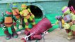 Ninja Turtles Mutations Donatello Replaces Splinter Broken Arms with Metal Head Arms Toy Review