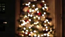 梶原吉広おすすめ「クリスマスツリー動画」