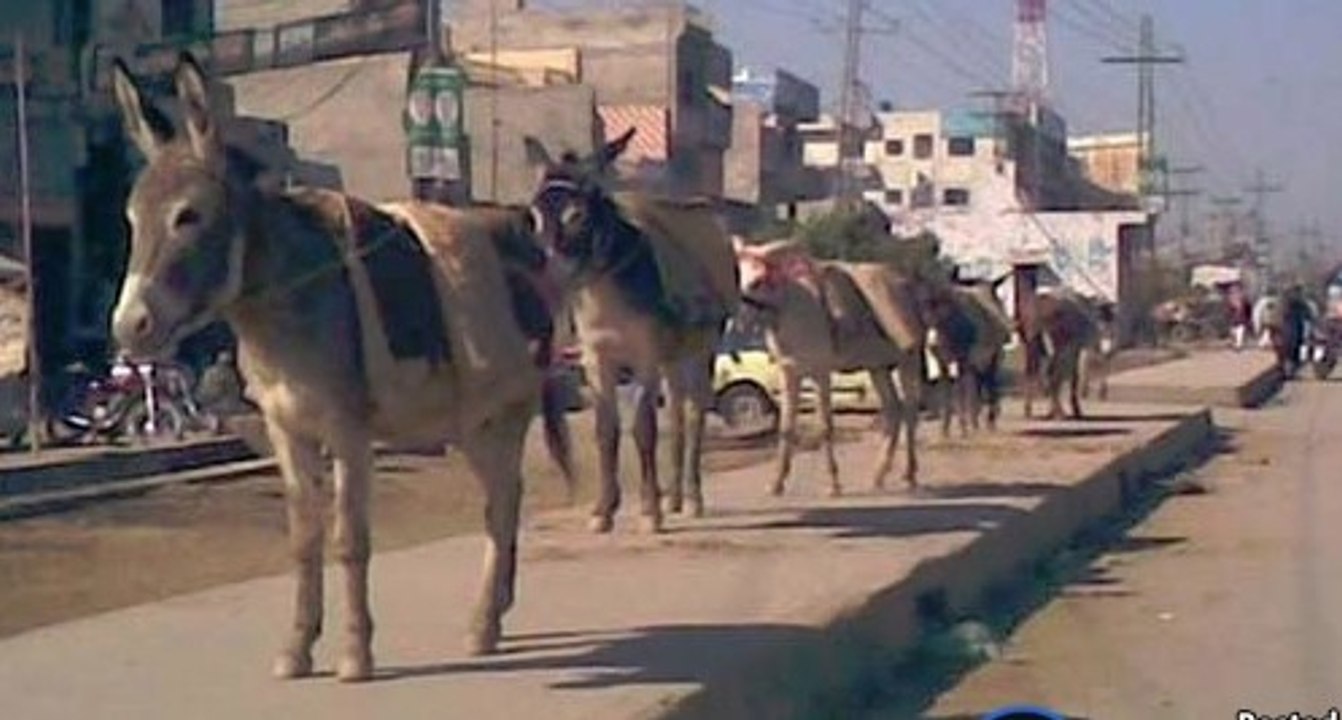 Sawal Yeh Hai 3 January 2016 - Faisal Raza Abidi - ARY News -سوال یہ ہے کے سیاست دانوں کے پیچھے لڑنے مرنے والے لوگو کو گدا کہتے ہیں ؟؟