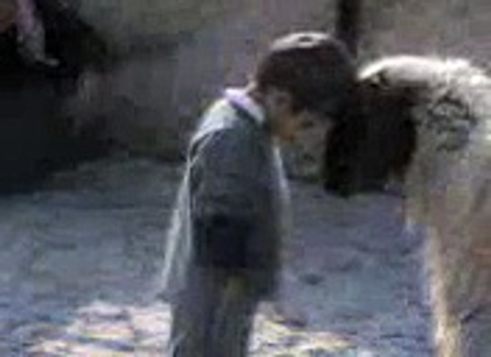 Kid vs Goat