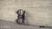 VertiGo, un robot capable de grimper sur les murs