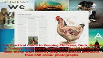 The Practical Guide to Keeping Chickens Duck Geese  Turkeys A directory of poultry Download