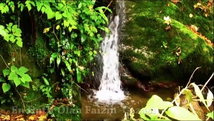 Faiz yemenin günahı - Timurtaş Hoca