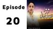 100 Din Ki Kahani Episode 20 Full on Hum Sitaray in High Quality