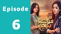 Tere Mere Beech Episode 6 Full on Hum Tv in High Quality