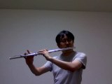 Aijou (by Yuki Koyanagi) flute cover / 愛情 (小柳ゆき) フルートカバー