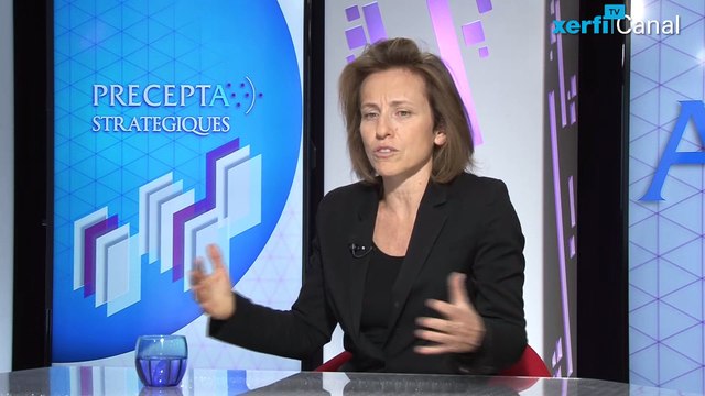 Flore Vasseur, Xerfi Canal De Aaron Swartz à Larry Lessig : le libre accès aux données