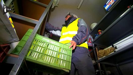 Hier réfugié afghan, aujourd'hui humanitaire : le portrait d'Amir en Grèce