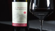 Italian Wine - Frappato the best Red Wine to pair with fish - Valle dell'Acate - Sicilian Wine - Italian Fashion & Wine