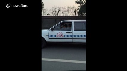 Child drives car while adult plays on mobile phone!