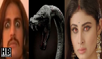 Naagin Full Episode 4th January 2016 Updates