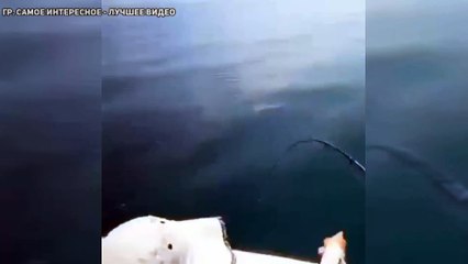 Порыбачил называется, спасибо