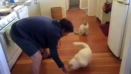 Прокати меня по полу