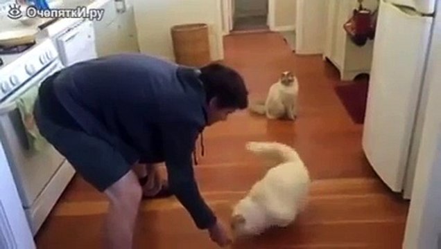 Прокати меня по полу