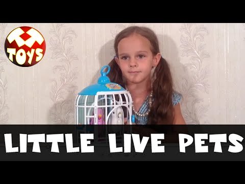 Интерактивные птички Little Live Pets Bird. Видео девочки Амиры. Моя Любимая Игрушка