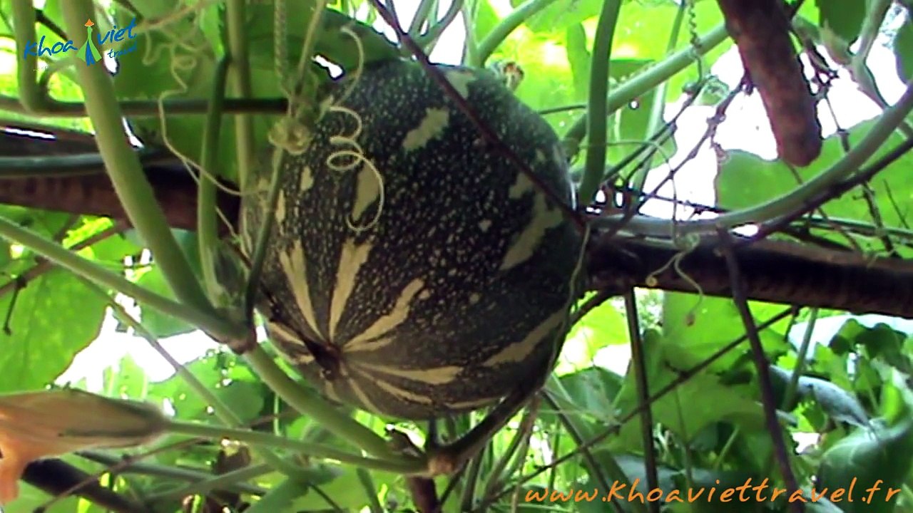 Visit Thien Huong village in Dong Van - Hagiang Trekking Tours in Vietnam