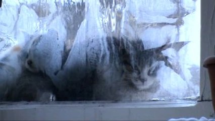 Yurtta Kış - Kars/