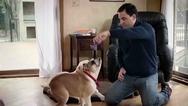 Tomer Sisley donne des cours à des apprentis cascadeurs - Regardez