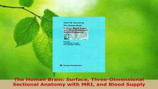 Read  The Human Brain Surface ThreeDimensional Sectional Anatomy with MRI and Blood Supply PDF Free