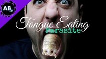 Tongue Eating Parasite! 5 Weird Animal Facts - Ep. 19 : AnimalBytesTV