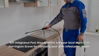 Pest Control Harrington Grove - Have A Pest-Free Surrounding