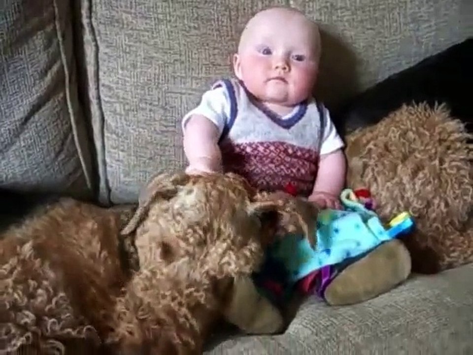 Airedale Terrier and baby - Ear scratches with Ptolemy