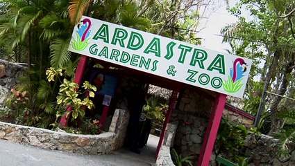 Royal Caribbean ile gideceğiniz Bahamalar'dan bir kare