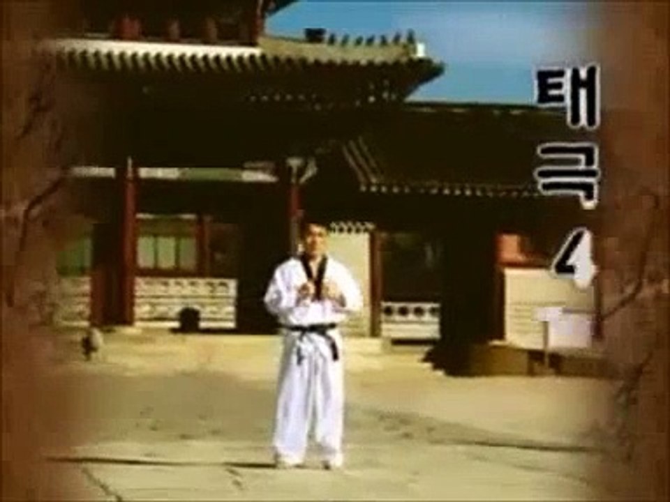 Taekwondo