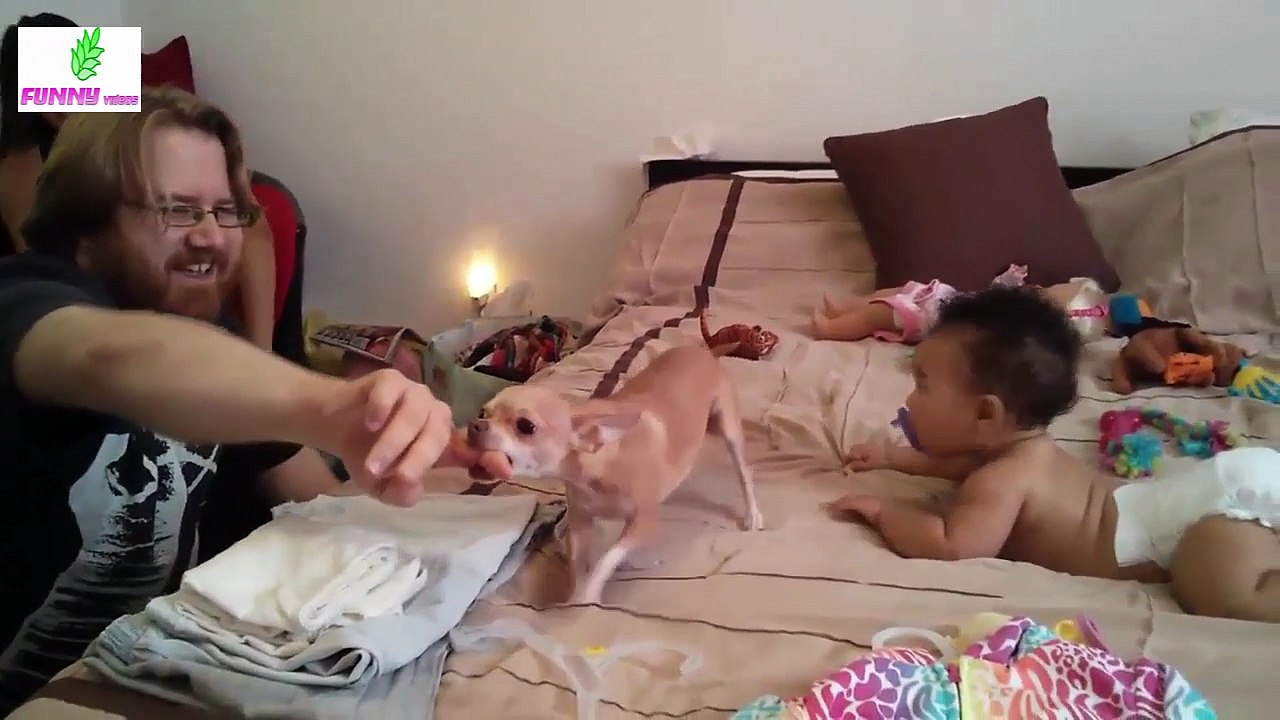 Funny Animals-Funny Dogs Protecting Babies Compilation 2016 [NEW HD]