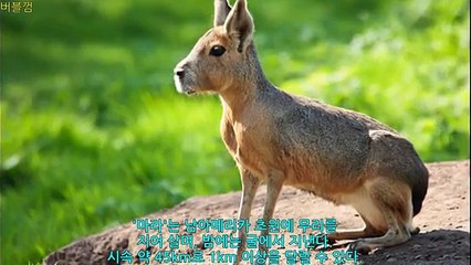 ℡010↔6443↔4992 〔 핸드폰소액결제 〕〔 핸드폰소액대출 〕〔 정보이용료현금화 〕