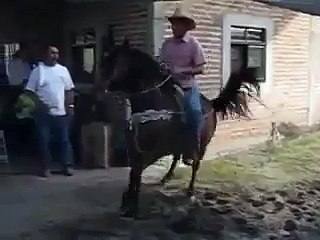 Vai no cavalinho cavalo dançando
