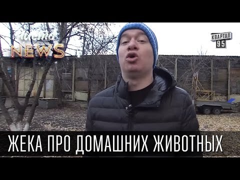 Жека про домашних животных - собака друг человека, но друг в ботинки не гадит | Чисто News 2015