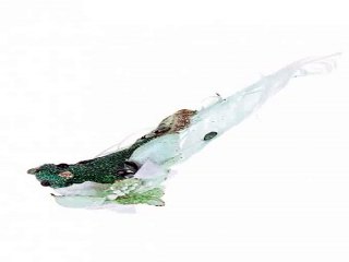 Купил отличный подарок на день рождения - Сувенир Прекрасная птица в г. Краснодар