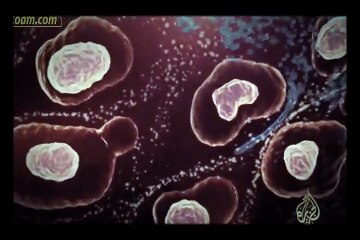 وثائقي # وفيات غريبة - مسابقات تنتهي بالموت‬ -