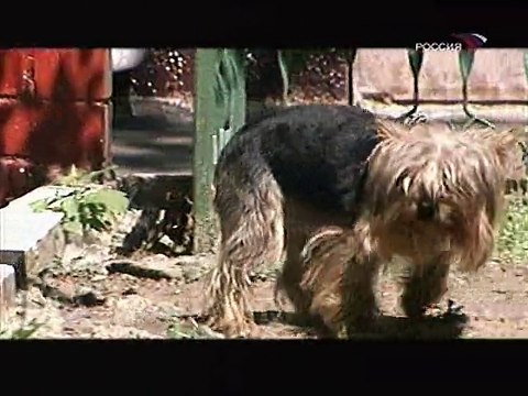 Торжественная встреча