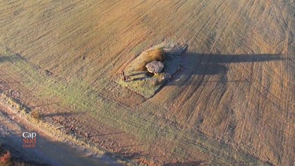 CSO Dolmen de Buzeins - Séverac le Chateau
