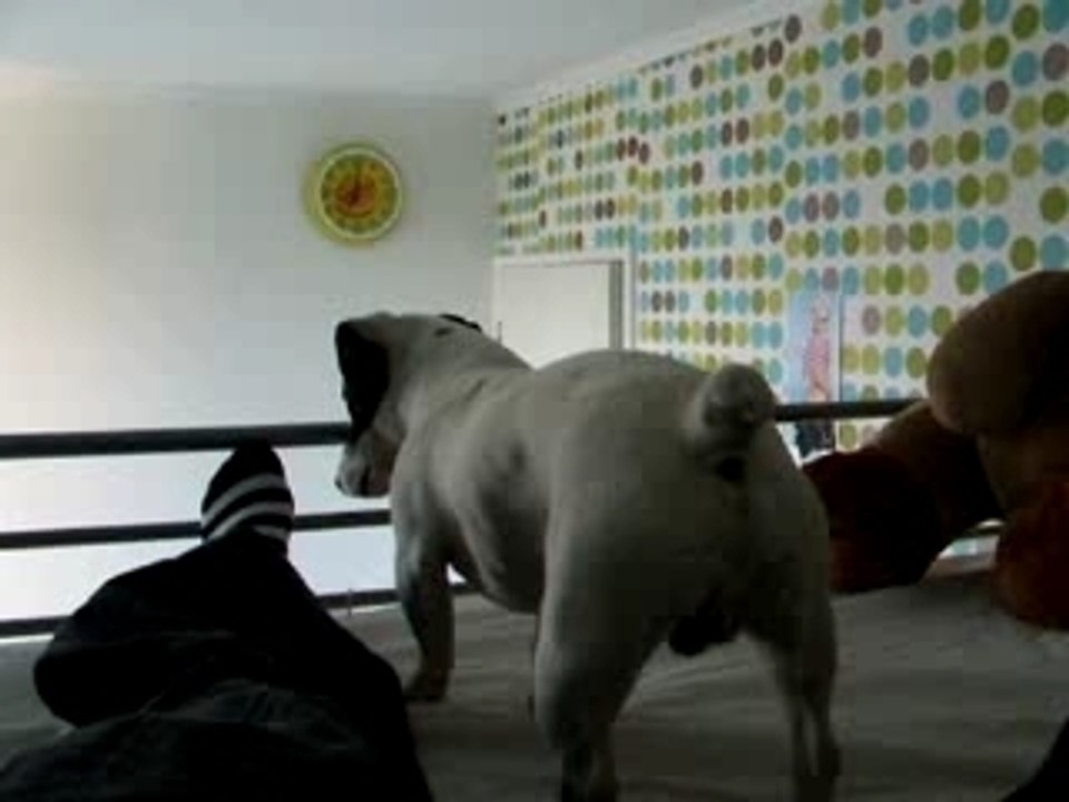 Soléro le jack fou!?!!