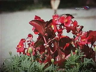 Фитиль шагает по стране01