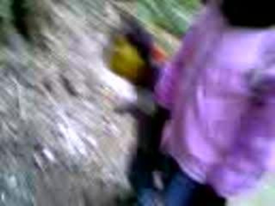 Video-0013