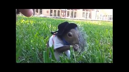 funny Animals funny kids funny baby funny movies funny dance