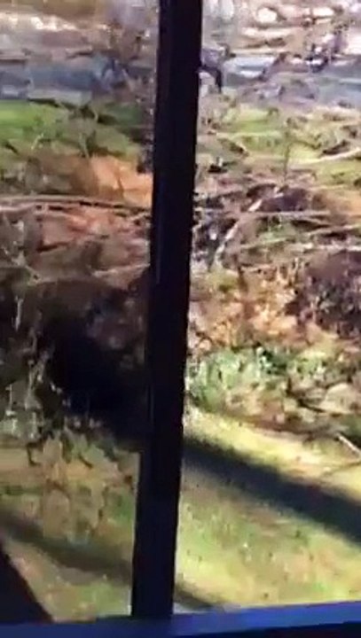 Bryan Silva Posts Video During Police Standoff That Resulted In Him Being Arrested